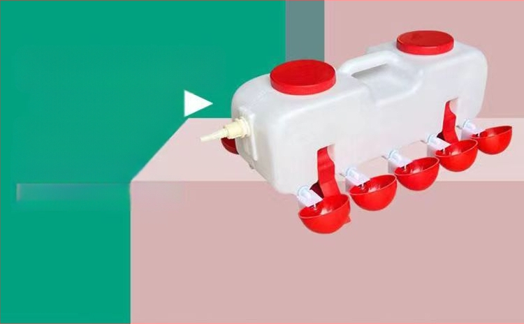 Automatinis geriamasis kibiras paukščiams – universaliai tinkamas vištoms, antis ir žąsims; prekinis ženklas Sailing; skirtas gyvulių augintojams