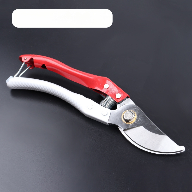 Maibu sodo žirklės vaismedžių genėjimui, storesniems šakoms, bonsajai ir sodui