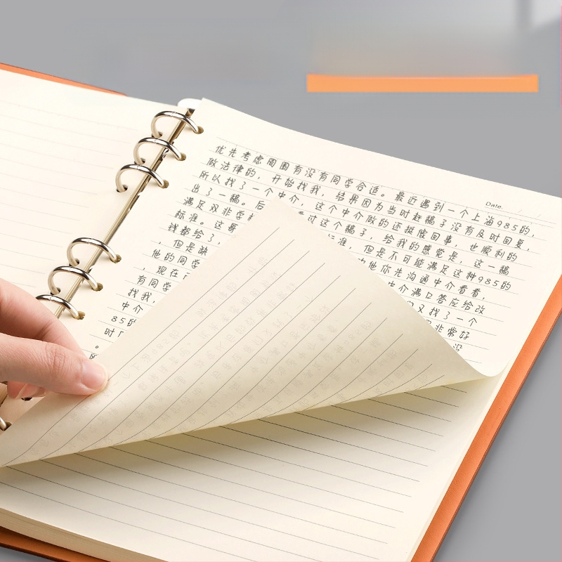 B5 atjaunojamais kodols ar biezām līnijām, 100 lapām, saderīgs ar 6 un 9 caurumiem, iekšējās lapas no Forest papīra