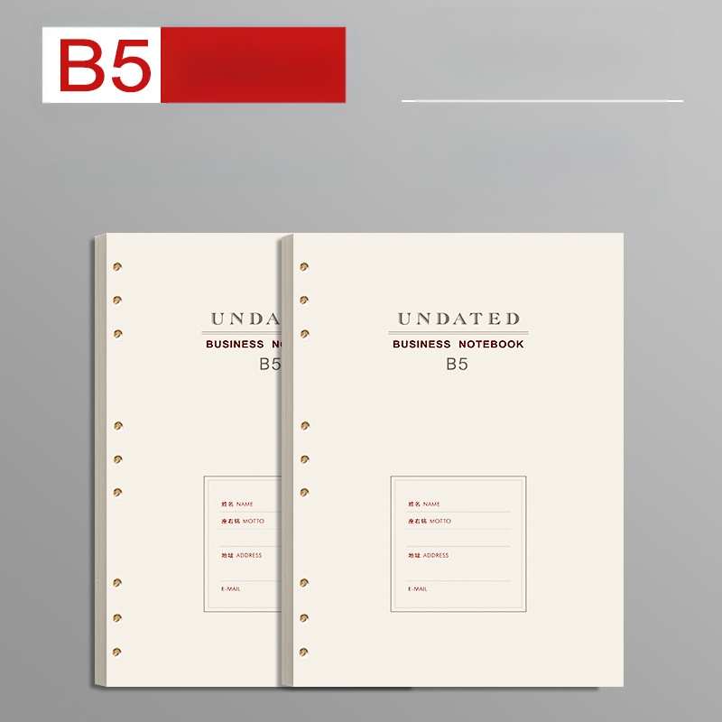 B5 atjaunojamais kodols ar biezām līnijām, 100 lapām, saderīgs ar 6 un 9 caurumiem, iekšējās lapas no Forest papīra