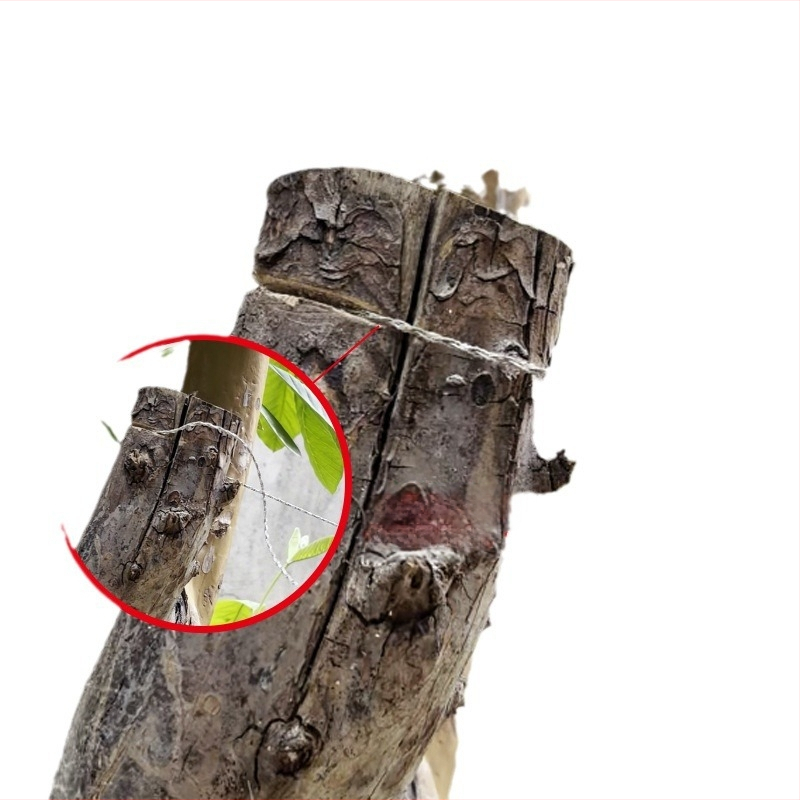 Неръждаема стомана - ръчно дърпана телена резачка – мултифункционална мини джобна резачка за къмпинг и оцеляване