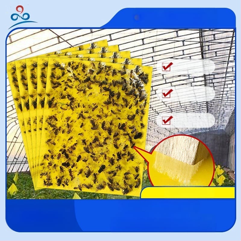 Κολλητική επιφάνεια εντόμων για μύγες φρούτων και κουνούπια – διπλής όψεως, μη τοξική, διάρκεια ζωής 5 έτη, 1000 φύλλα