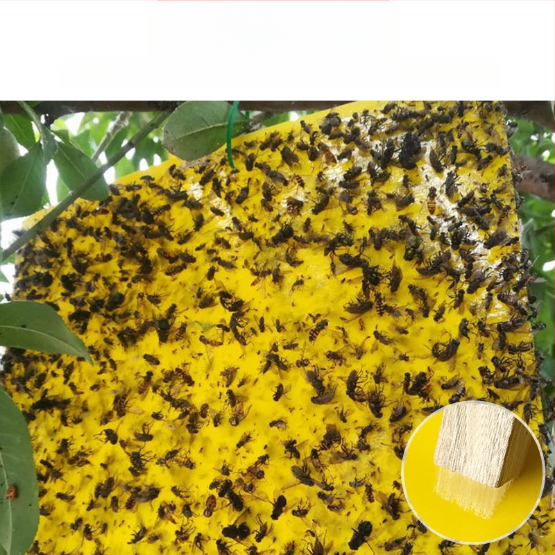 Κολλητική επιφάνεια εντόμων για μύγες φρούτων και κουνούπια – διπλής όψεως, μη τοξική, διάρκεια ζωής 5 έτη, 1000 φύλλα