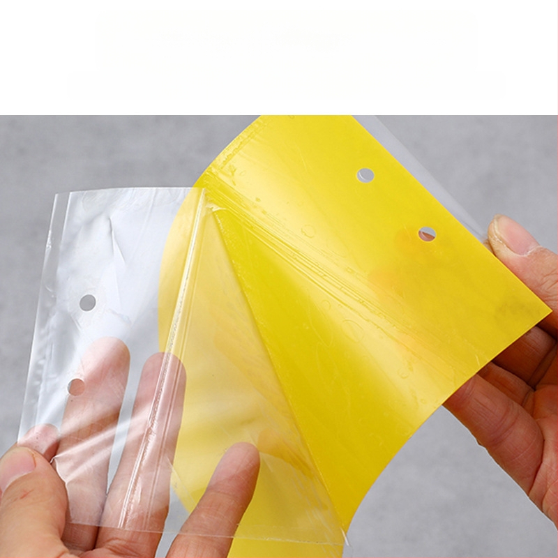 Κολλητική επιφάνεια εντόμων για μύγες φρούτων και κουνούπια – διπλής όψεως, μη τοξική, διάρκεια ζωής 5 έτη, 1000 φύλλα