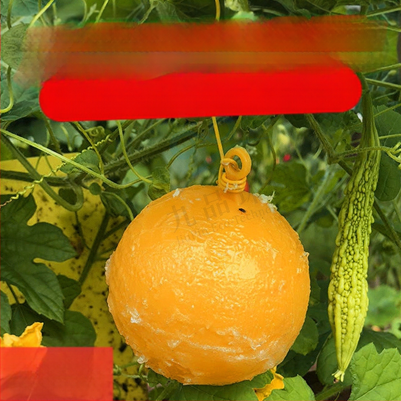 Κολλητική επιφάνεια εντόμων για μύγες φρούτων και κουνούπια – διπλής όψεως, μη τοξική, διάρκεια ζωής 5 έτη, 1000 φύλλα