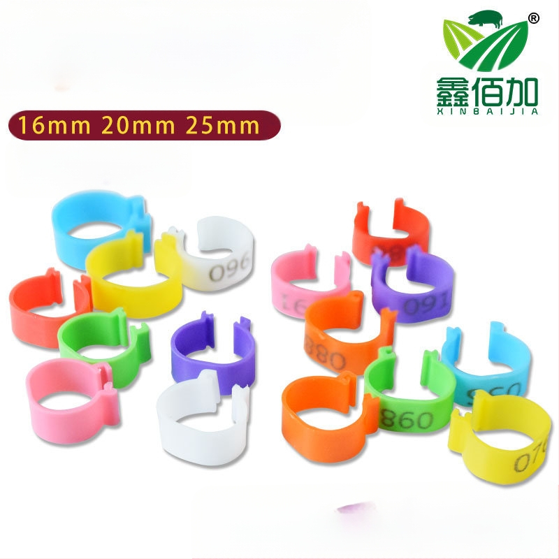 Δακτυλίδι σήμανσης πτηνών με ανοιχτό κούμπωμα για κοτόπουλα, πάπιες και χήνες – Xin Baijia