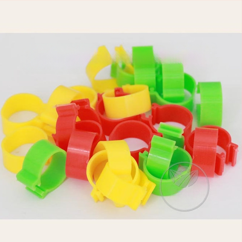 Δακτυλίδι σήμανσης πτηνών με ανοιχτό κούμπωμα για κοτόπουλα, πάπιες και χήνες – Xin Baijia