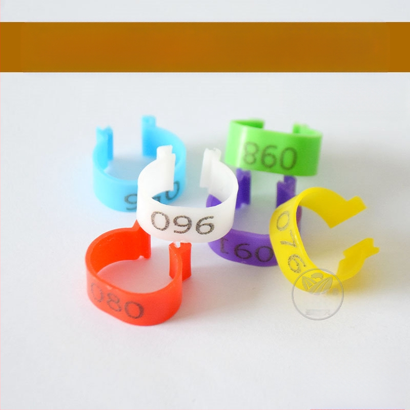 Δακτυλίδι σήμανσης πτηνών με ανοιχτό κούμπωμα για κοτόπουλα, πάπιες και χήνες – Xin Baijia