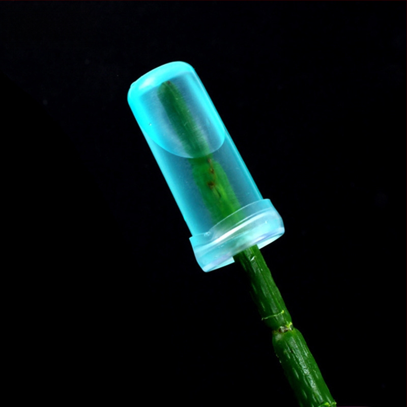 Υλικά συσκευασίας μπουκέτων - πλαστικό, ημι-μηχανική κατασκευή, 40 πακέτα ανά παρτίδα, Thoughts μάρκα