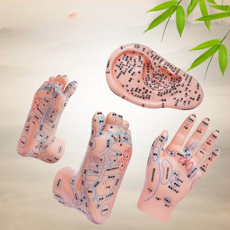 Модел на акупоините за ръце, крака и уши с меридиани – диаграма на рефлексология за обучение, пластмасов материал, комплект от 100 броя