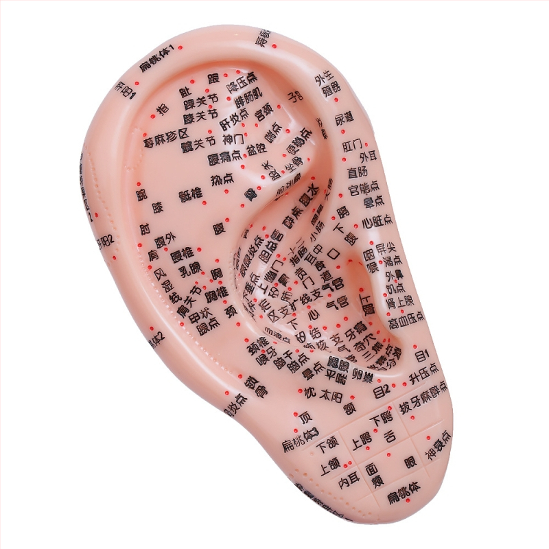 Модел на акупоините за ръце, крака и уши с меридиани – диаграма на рефлексология за обучение, пластмасов материал, комплект от 100 броя