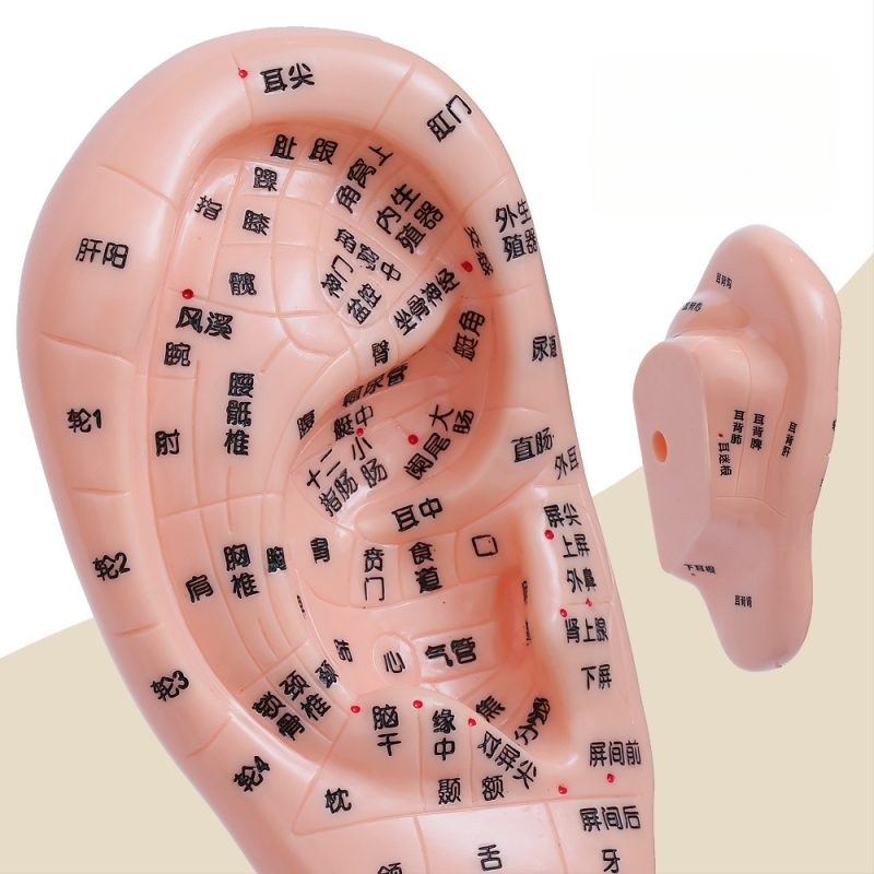 Модел на акупоините за ръце, крака и уши с меридиани – диаграма на рефлексология за обучение, пластмасов материал, комплект от 100 броя
