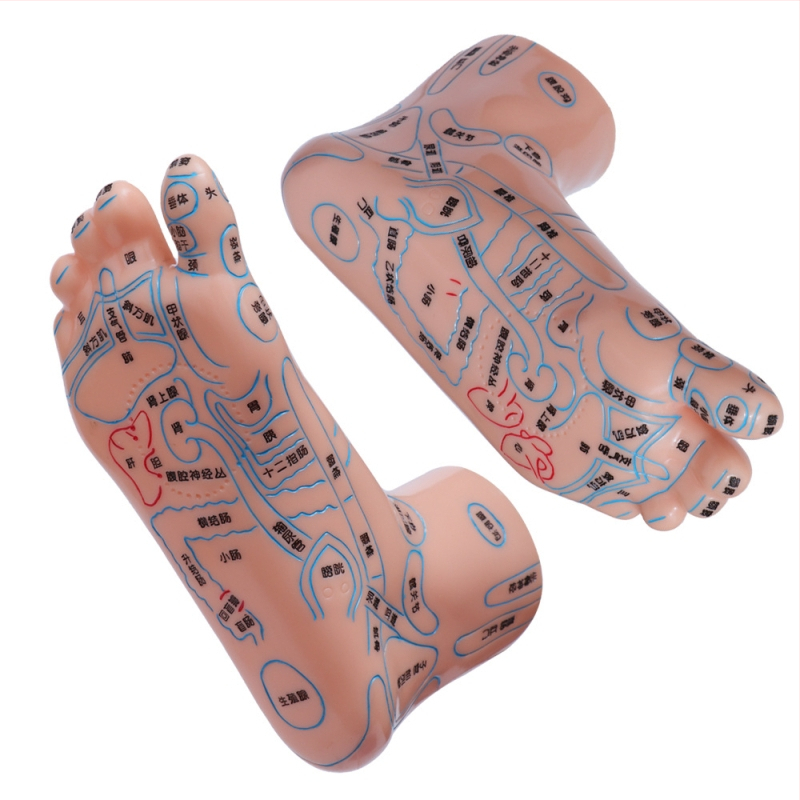 Модел на акупоините за ръце, крака и уши с меридиани – диаграма на рефлексология за обучение, пластмасов материал, комплект от 100 броя