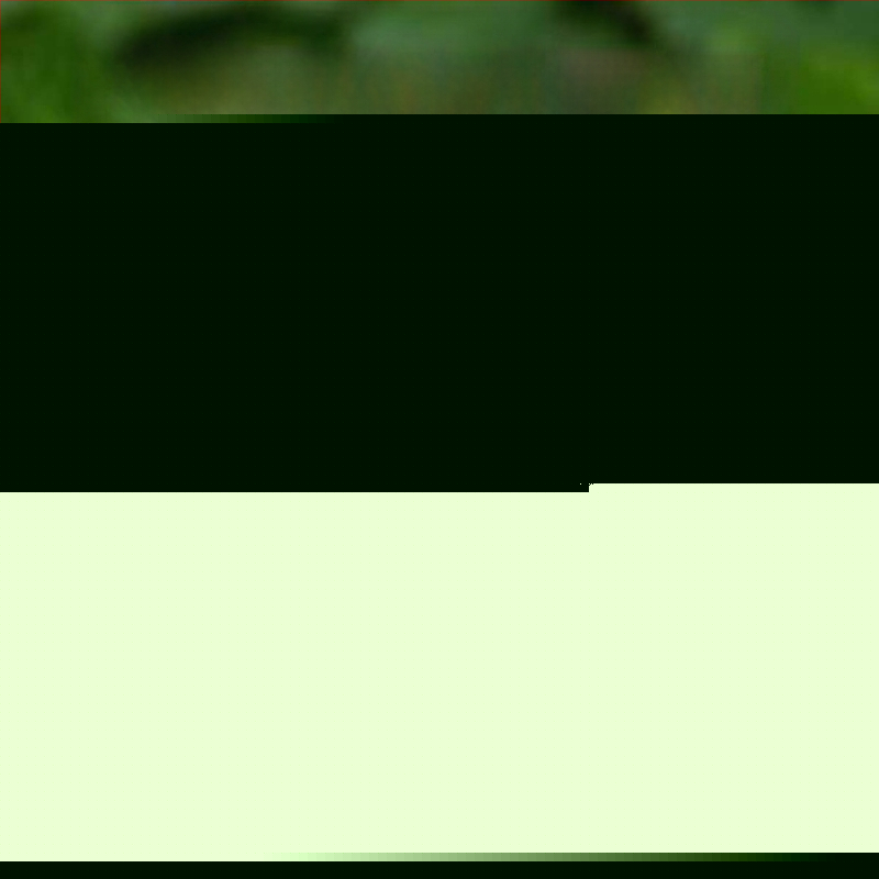 Πλήρως ατσάλινη σκαπάνη κήπου για ζιζανίσματα, με ενισχυμένη κεφαλή, για οικιακή και γεωργική χρήση