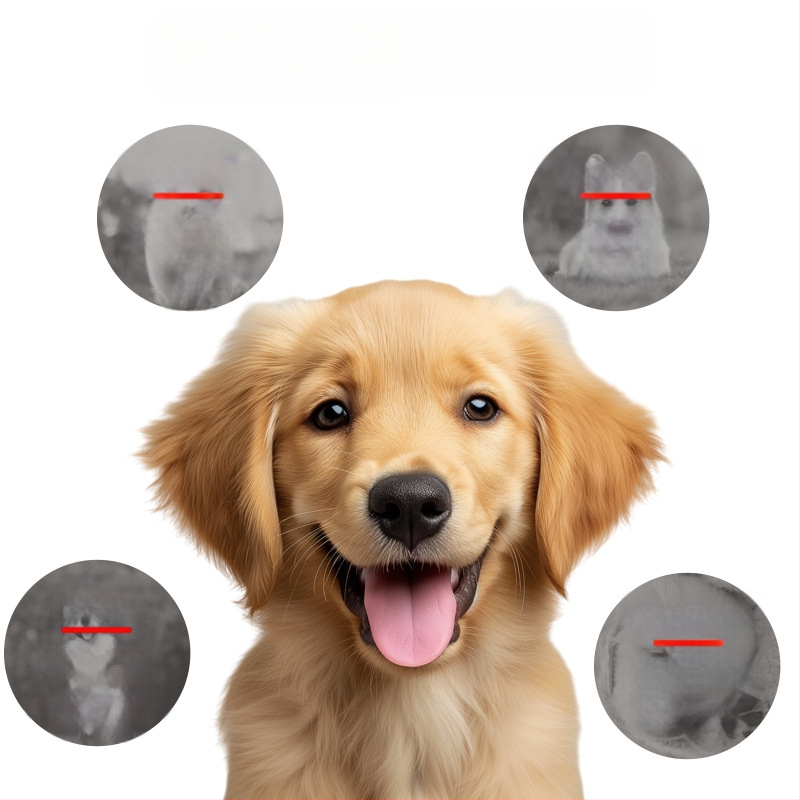 Лекарство за кокцидия за домашни любимци, общо предназначение, марка Happy brown sugar, кутия 132 бр.