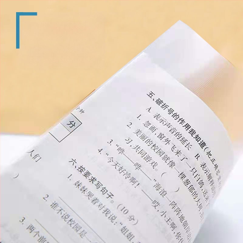 Chihai Ματ διάφανο πλαστικό Data Book για συλλογή σκίτσων τέχνης, 20 σελίδες, 0,8 mm πάχος, με εκτυπωμένο λογότυπο