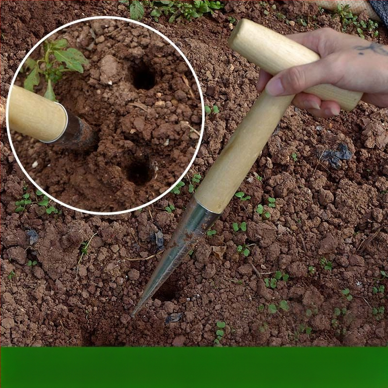 Medinis sodo įrankis sėti sėkloms, daigų tręšimui ir sukulentų persodinimui; smailus antgalis, kietas medis, 2022 metų žiema