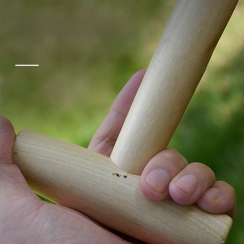 Medinis sodo įrankis sėti sėkloms, daigų tręšimui ir sukulentų persodinimui; smailus antgalis, kietas medis, 2022 metų žiema