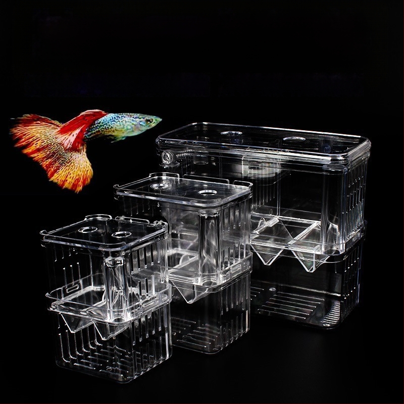 Κουτί αναπαραγωγής γκουπι, πλαστικό απομονωτικό ενυδρείου, για ωοτοκία και εκκόλαψη, κατάλληλο για μικρά ψάρια