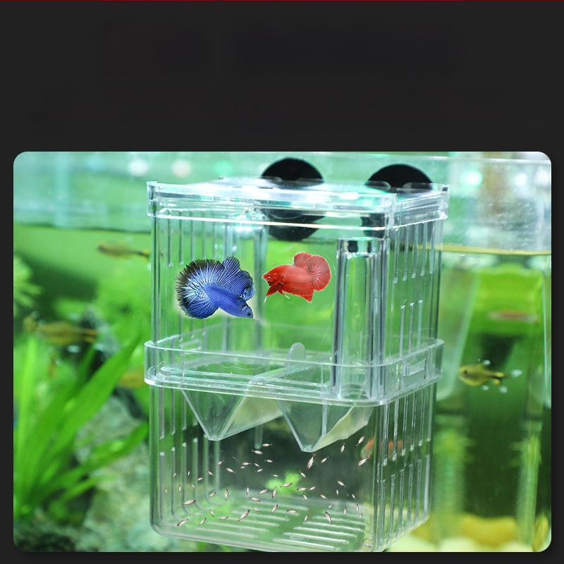 Κουτί αναπαραγωγής γκουπι, πλαστικό απομονωτικό ενυδρείου, για ωοτοκία και εκκόλαψη, κατάλληλο για μικρά ψάρια