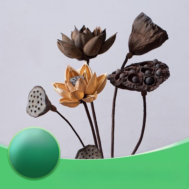 Zen stiliaus džiovintų gėlių puokštė svetainei – mišrios elementai su lotosu, lotus sėklų kapsulėmis ir pušų kankorėžiais (Variety: Lily; Material: Other; Craft: Other; Gift: No)