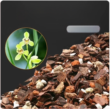 Orhideja Molan šķirne, materiāls: zīda zieds, Zīmols: Cits