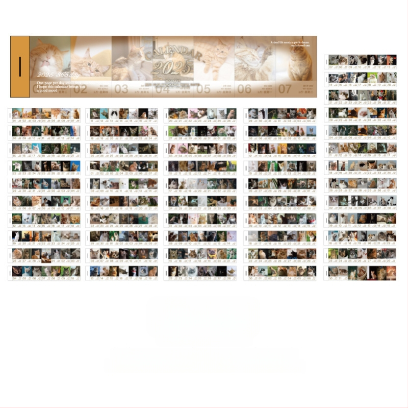 Ikgadējais dienasgrāmata 2025 ar katru dienu atsevišķu lappusu un noņemamām datumām - retro Eiropas/Amerikas tipogrāfija - svars 104 g - Icy Sea