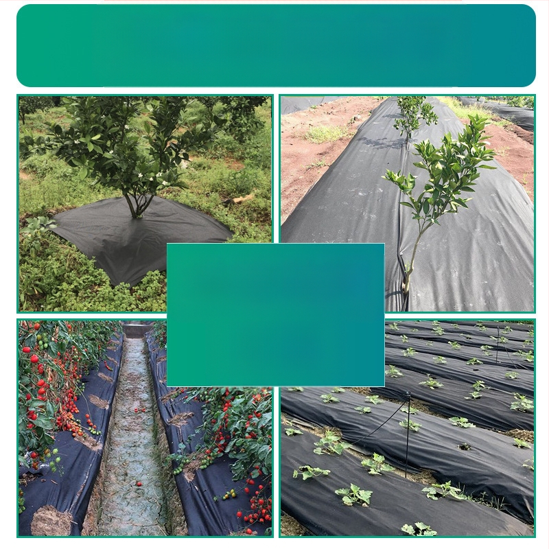 PP spunbond netinkama tekstilė – 100% polipropilenas, verpimo procesas, GB standartas, tinkama medicininiams ir higienos audiniams, drabužių pamušalas, namų tekstilė ir pakuotė