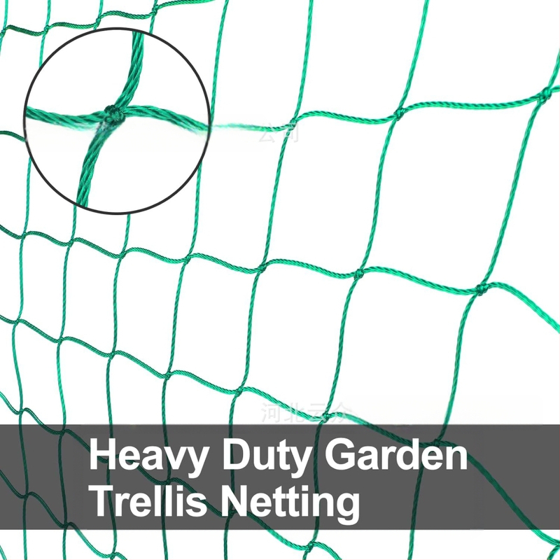 Δίκτυο αναρρίχησης για αμπέλια και λαχανικά, στηριξη με πλέγμα και ενισχυμένη άκρη, αντίσταση στον άνεμο