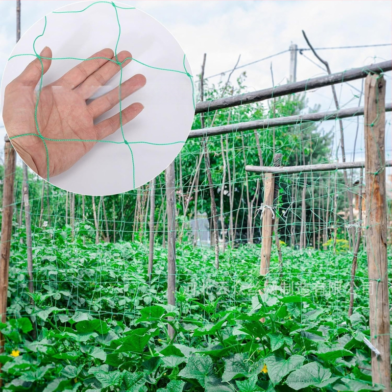 Δίκτυο αναρρίχησης για αμπέλια και λαχανικά, στηριξη με πλέγμα και ενισχυμένη άκρη, αντίσταση στον άνεμο