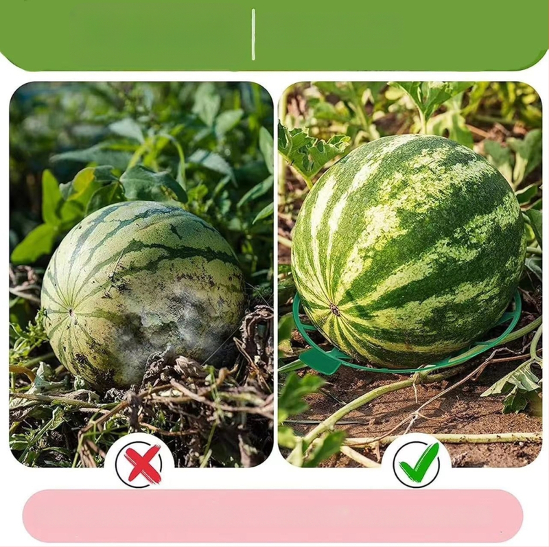 Noon ABS plasto vaisių sodinimo padėklas – antikorozinė vaisių atrama sodui