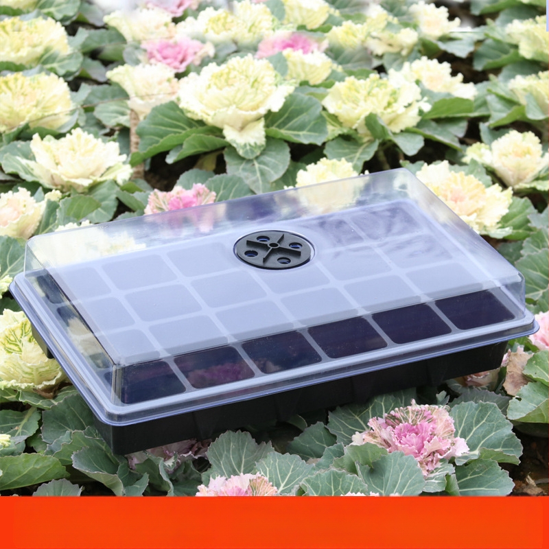 24 skylėmis dėklas sodinukams, apvaliu dangteliu, ventiliacijos angos, trijų dalių rinkinys, tvirta plastiko konstrukcija