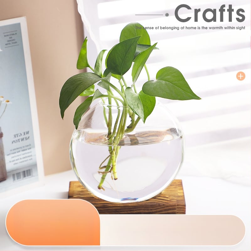 Biuro stalo vaza hidroponiniam vandens auginimui, stiklas pūtimas, poliruotas paviršius, šiaurietiškas minimalistinis stilius, geometrinis dizainas