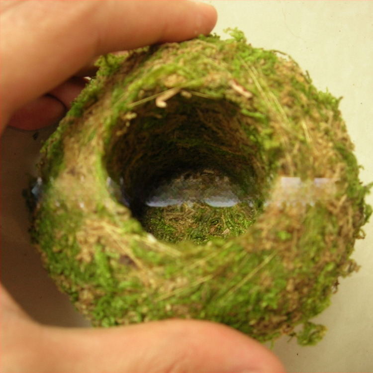 Gėlių vazonas su natūralia Carex samanų kamuoliu — kvėpuojantis, biologiškai skaidrus, vandens taupymas, rankų darbas