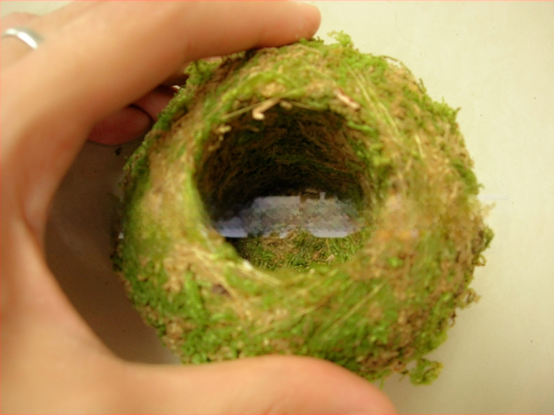 Gėlių vazonas su natūralia Carex samanų kamuoliu — kvėpuojantis, biologiškai skaidrus, vandens taupymas, rankų darbas