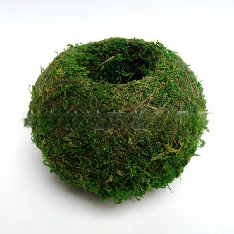 Gėlių vazonas su natūralia Carex samanų kamuoliu — kvėpuojantis, biologiškai skaidrus, vandens taupymas, rankų darbas