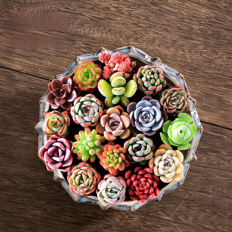 Keraminė gėlių vaza, grindų pastatoma, pastoralinis stilius, namų sodininkystei