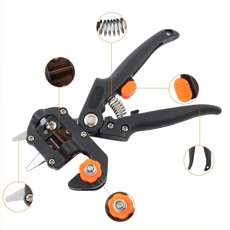 Bow Giant Vaismedžių skiepijimo įrankis