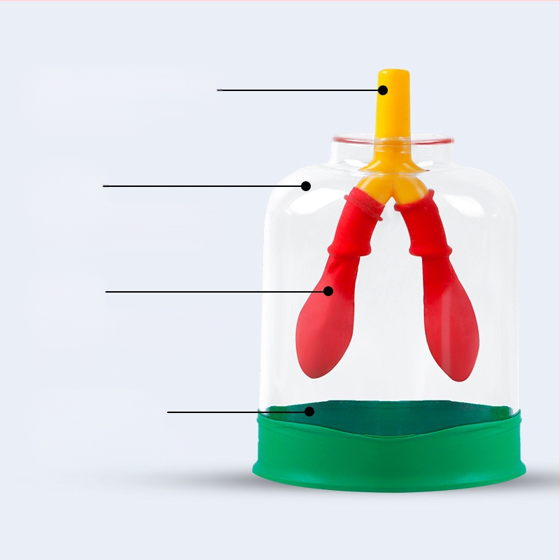 Μοντέλο κίνησης διαφράγματος και προσομοιωτής αναπνοής πνευμόνων για τη φυσική γυμνασίου, διδακτικό βοήθημα από πλαστικό-καουτσούκ Liuxin