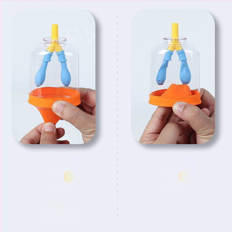 Μοντέλο κίνησης διαφράγματος και προσομοιωτής αναπνοής πνευμόνων για τη φυσική γυμνασίου, διδακτικό βοήθημα από πλαστικό-καουτσούκ Liuxin