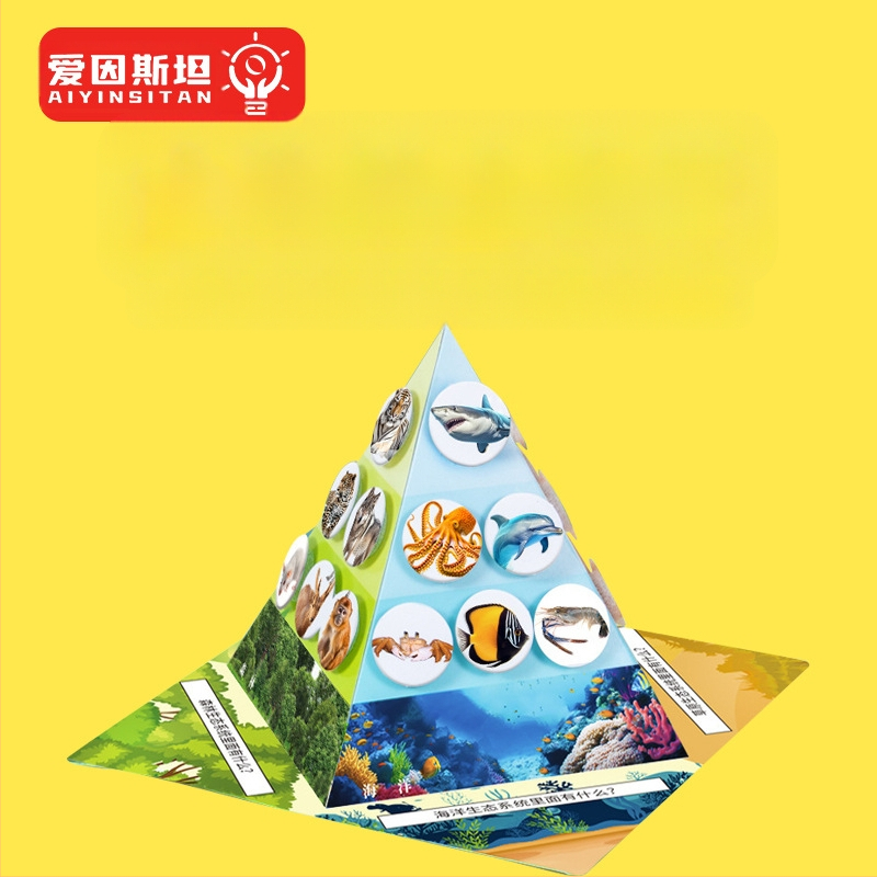 Kit educațional DIY de biologie: piramida lanțului trofic cu materiale multiple, ambalare separată, pentru copii 7–14 ani