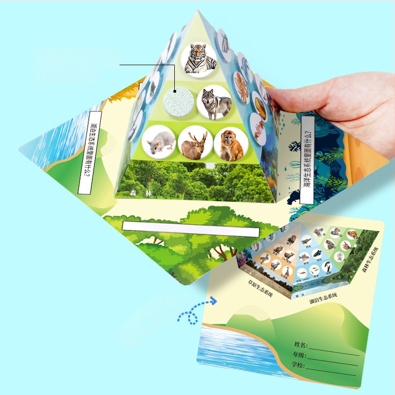 Kit educațional DIY de biologie: piramida lanțului trofic cu materiale multiple, ambalare separată, pentru copii 7–14 ani