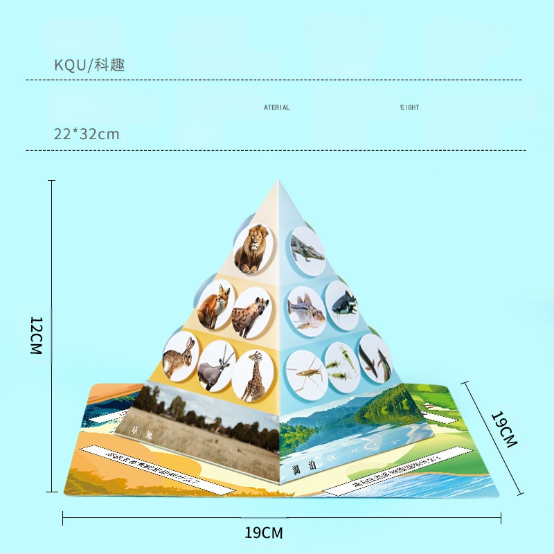 Kit educațional DIY de biologie: piramida lanțului trofic cu materiale multiple, ambalare separată, pentru copii 7–14 ani