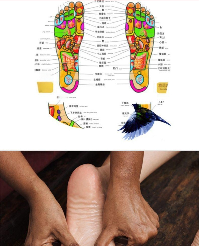 Kojų masažuoklis – automatinis daugiakomponentis kojų terapijos įrenginys su karšto kompreso, minkymo ir masažo funkcijomis, kompiuteriniu valdymu ir laikmačiu