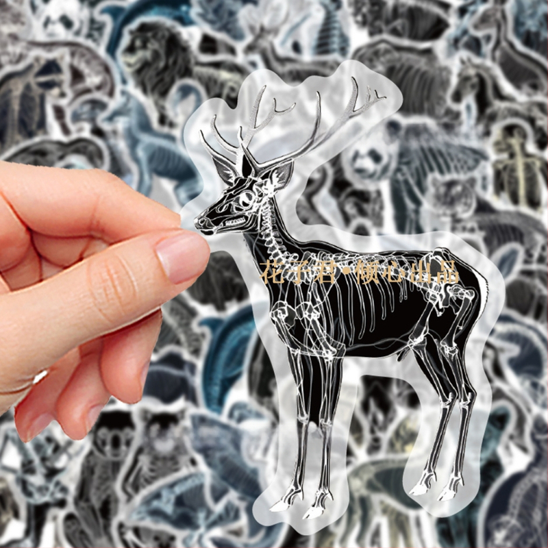 Αυτοκόλλητα με ζωικούς ακτινογραφικούς οστούς, 50 τεμάχια, PVC, μοντέρνο μινιμαλιστικό στυλ, εκτυπωμένο λογότυπο, διακοσμητικό γραφείου