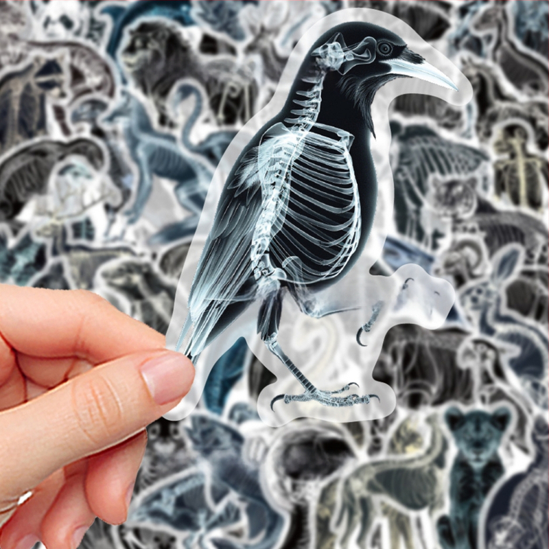 Αυτοκόλλητα με ζωικούς ακτινογραφικούς οστούς, 50 τεμάχια, PVC, μοντέρνο μινιμαλιστικό στυλ, εκτυπωμένο λογότυπο, διακοσμητικό γραφείου