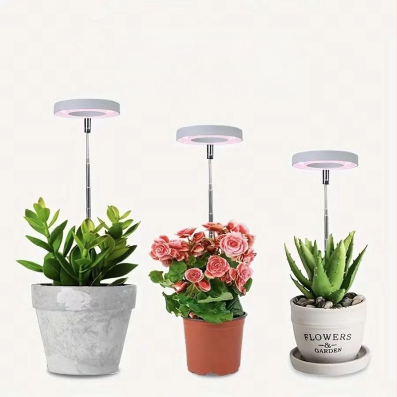 LED angelo žiedinė augimo lemputė augalams, 20 LED, Sanan Optoelectronics čipas, 5V įvadas, tarnavimo laikas 50 000 h