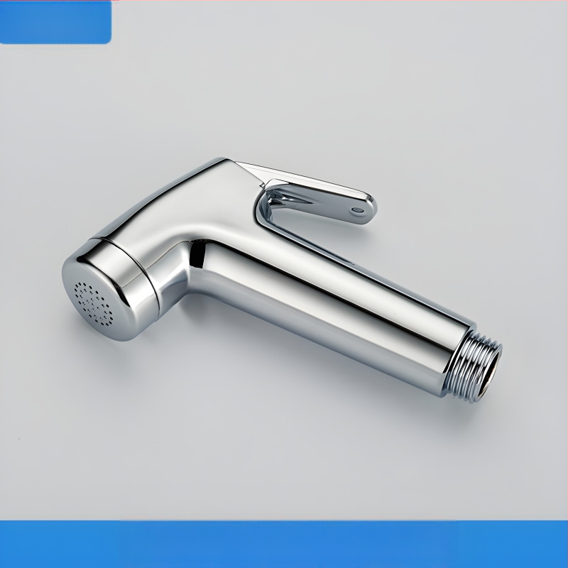 Dušo rinkinys bidetui ir tualetei, sieninis montavimas, ABS, apskrito dušo galvutė, 20 mm jungtis, lietaus funkcija