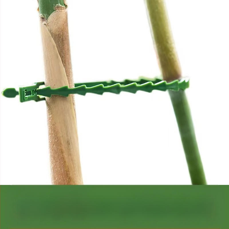 Aia taime sidumisnöör korduvkasutatav kalakujulise luu fiksaatoriga — PP materjal, Rizoda