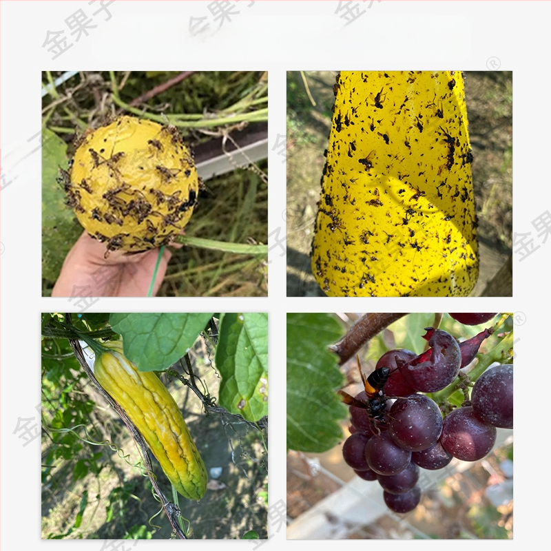 nepluošto vaisių maišelis su kenkėjų apsauga, kvėpuojantis, pusiau skaidrus, biologiškai skaidrus